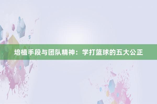 培植手段与团队精神：学打篮球的五大公正